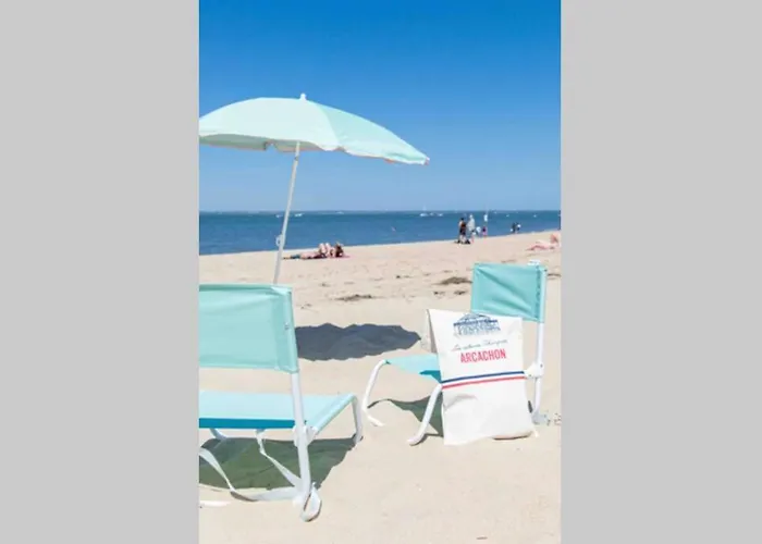 Les Pieds Dans L Eau En Hyper Centre *