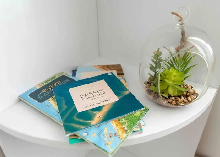 Les Pieds Dans L Eau En Hyper Centre